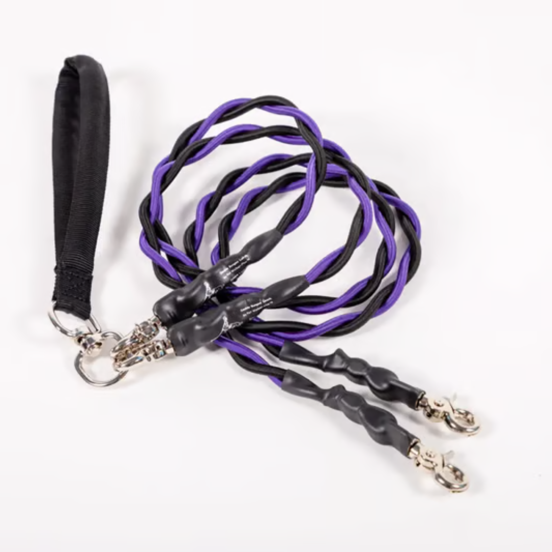 PawLink™ Duo – Dubbele Hondenriem met Schokdempers
