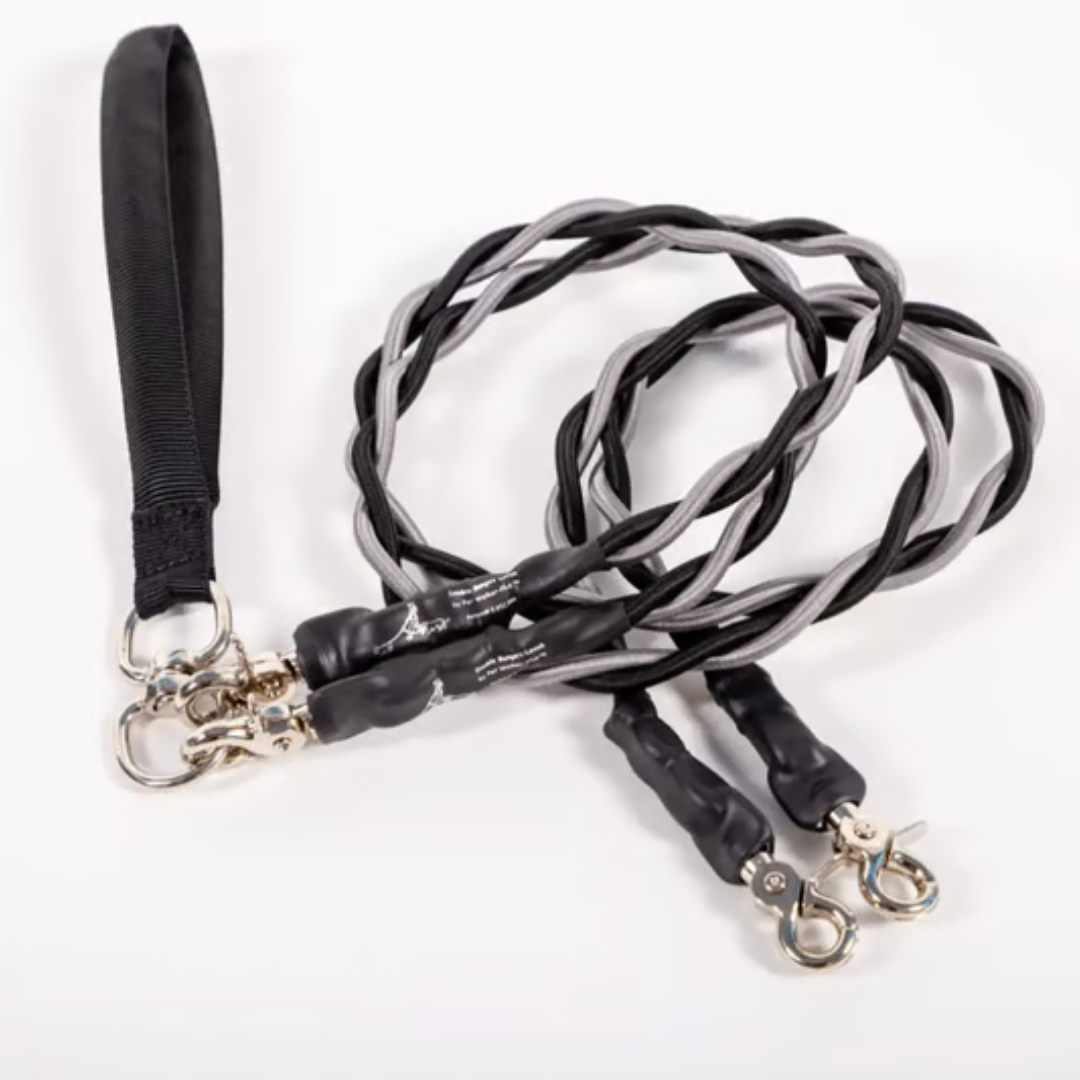 PawLink™ Duo – Dubbele Hondenriem met Schokdempers