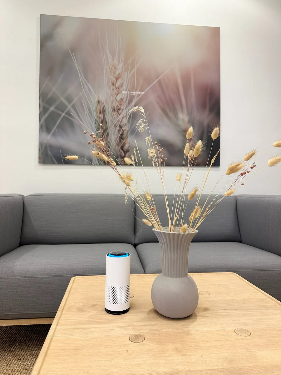 AirLume™ Max – Geavanceerde Luchtreiniger tegen Stof & Allergenen