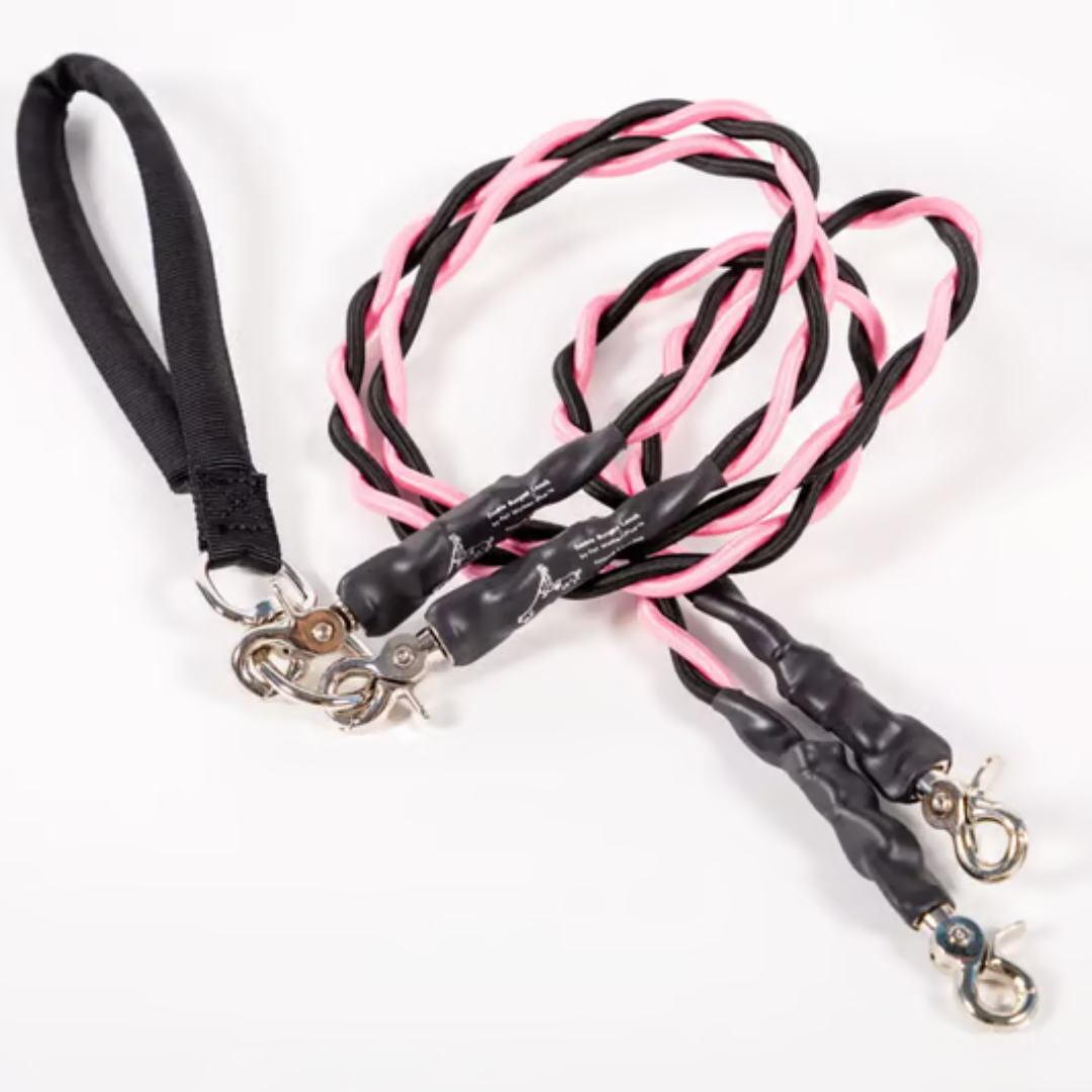 PawLink™ Duo – Dubbele Hondenriem met Schokdempers