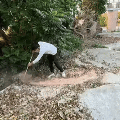 AirSweep™ Max – Krachtige Handblazer voor Tuin & Terras