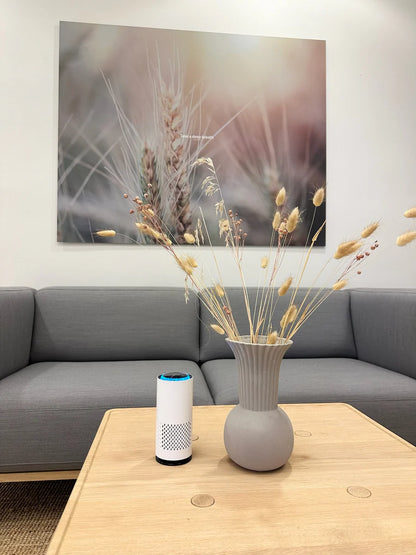 AirLume™ Max – Geavanceerde Luchtreiniger tegen Stof & Allergenen